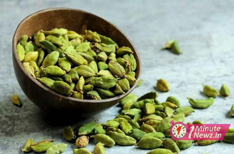 how to grow cardamom tree in home 