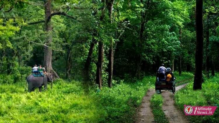 jaldapara, gorumara forest