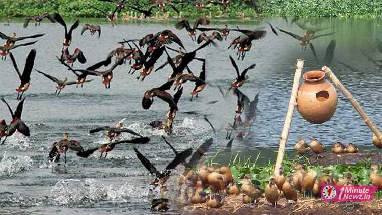 santragachi lake