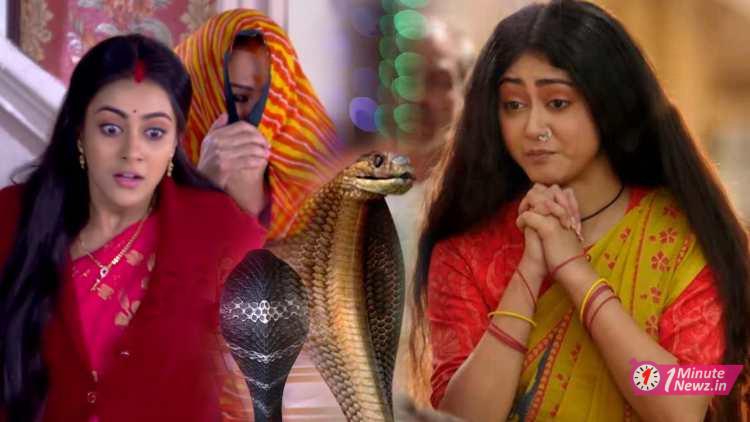 troll gouri elo to netpara after chasing snake