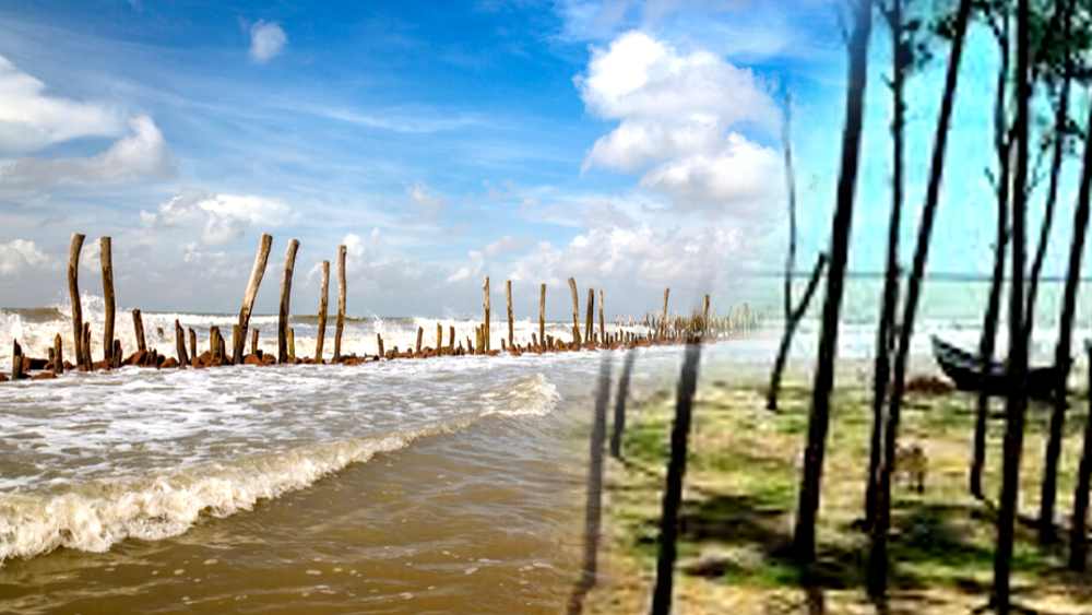 for one day tour kolkata's near destination tajpur