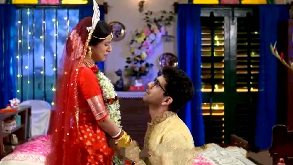 neem phooler madhu serial piklu confese his love toward barsha